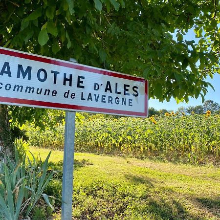 Gite Confort A Lamothe D Ales Lavergne  Exteriör bild